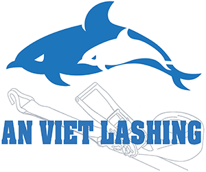 An Viet Lashing